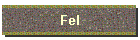 Fel